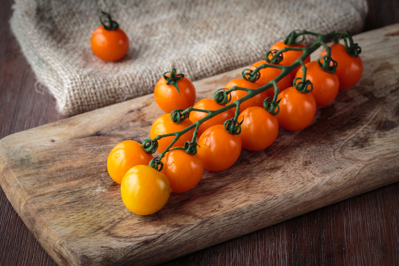 Proven Selections Sungold Cherry Tomato
