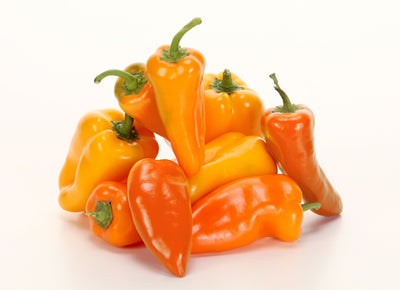 Proven Winners® Garden to Table Plants|Sweet Petite Orange Pepper 4