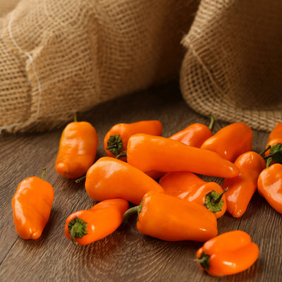 Proven Winners® Garden to Table Plants|Sweet Petite Orange Pepper 1