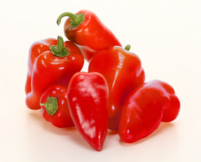 Proven Winners® Garden to Table Plants|Sweet Petite Red Pepper 4