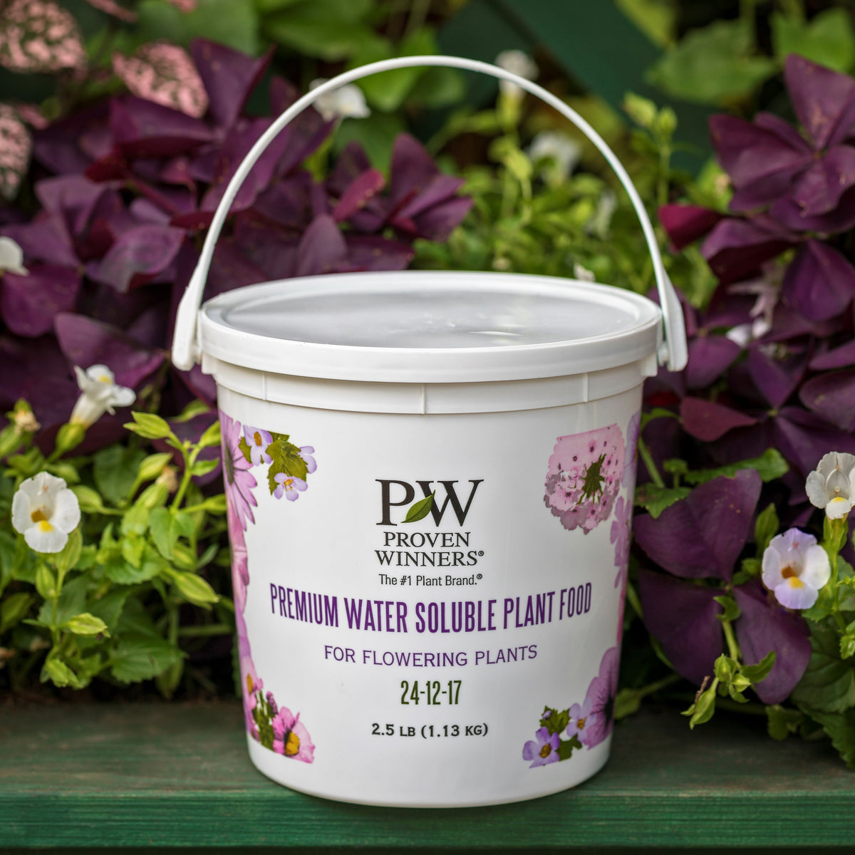 Royal Raspberry Anise Anise Hyssop | Meant to Bee® 'Royal Raspberry' | Proven Winners ...