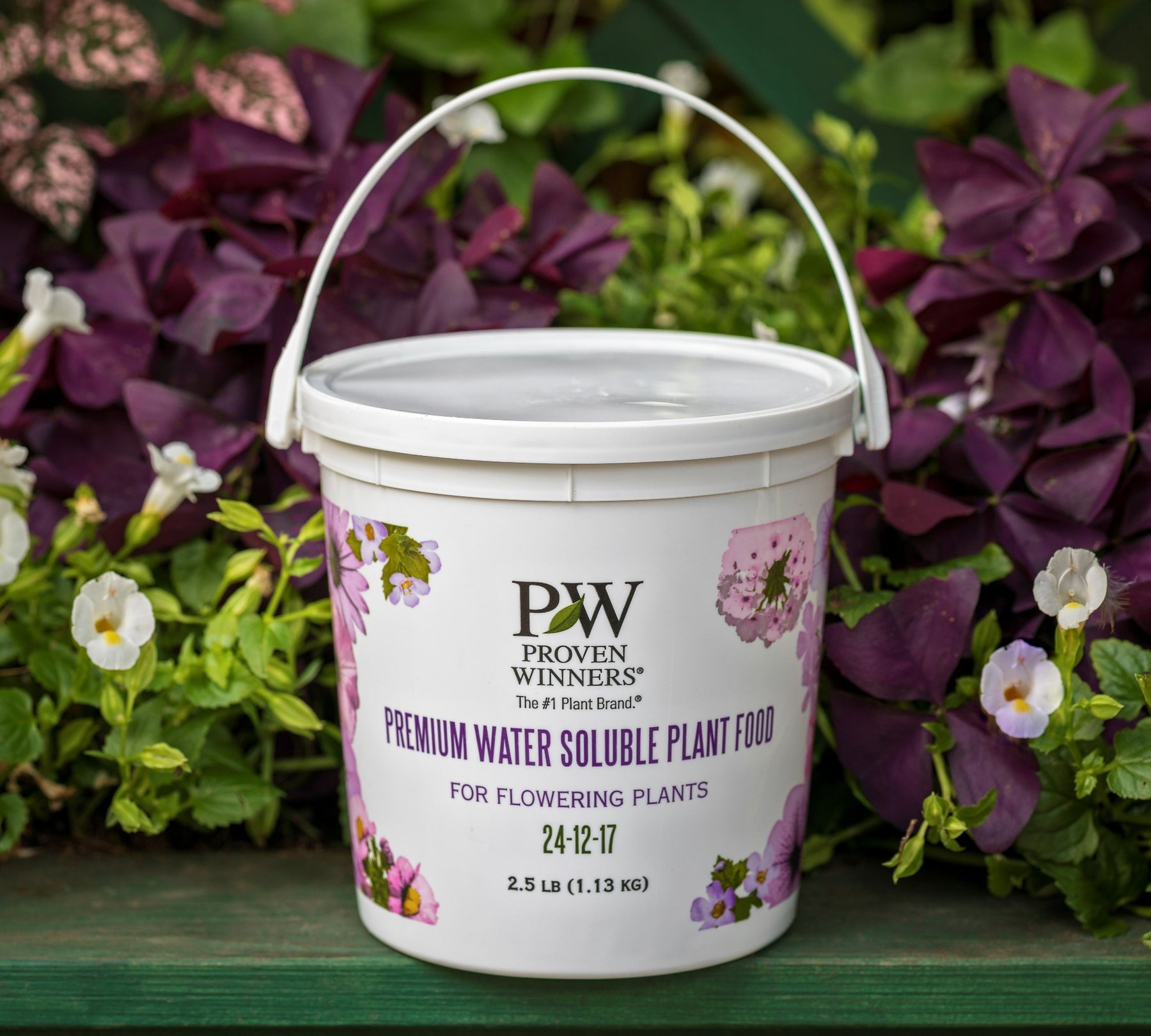 Hardgoods Plants|Home Garden Success Bloom Kit – Proven Winners Direct™