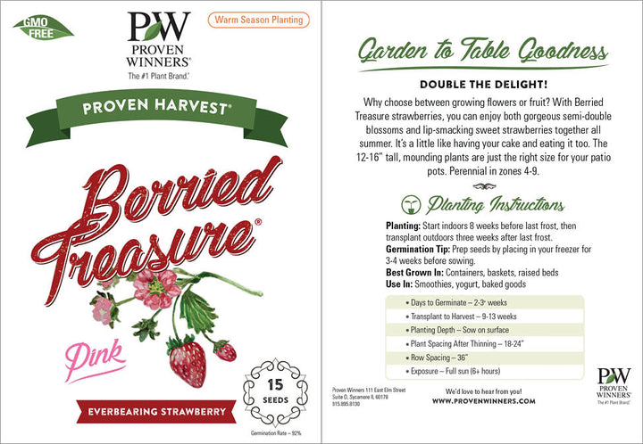 planting strawberry seeds from store bought Pink Strawberry Seeds