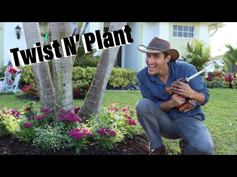 Twist &